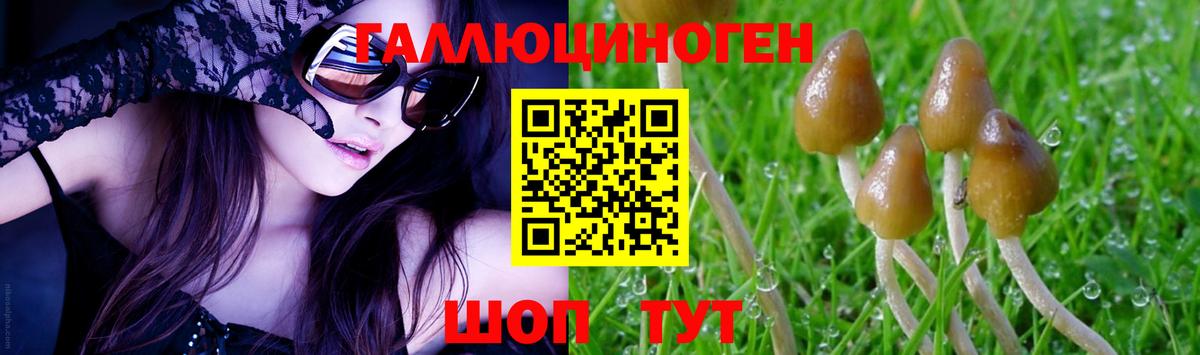 Псилоцибиновые грибы GOLDEN TEACHER  Псилоцибиновые грибы мухоморы  Азнакаево  Вход с VPN 